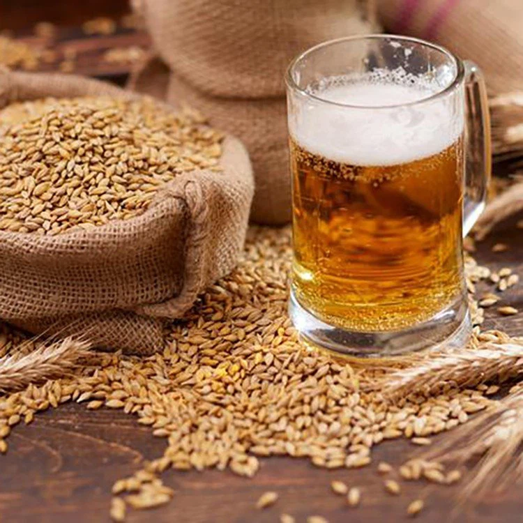 live brewers yeast live brewers yeast